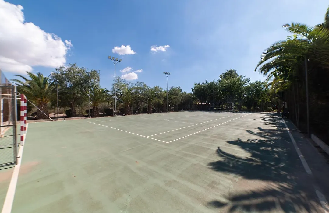 Las Palmeras-1